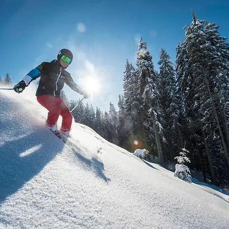 Tauernresidence Radstadt By Alps Resorts 4* Радштадт